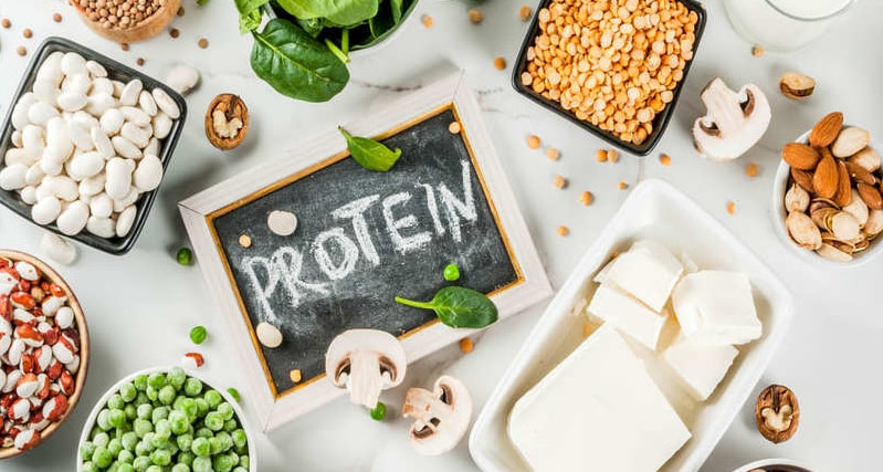 Plant Proteins market size